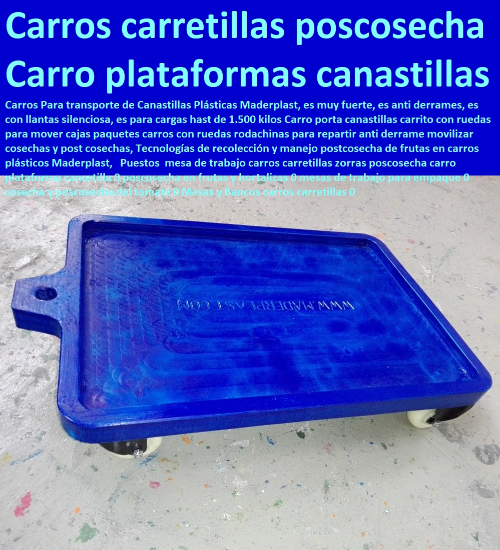 Puestos  mesa de trabajo carros carretillas zorras poscosecha carro plataforma canastilla 0 poscosecha en frutas y hortalizas 0 mesas de trabajo para empaque 0 cosecha y poscosecha del tomate 0 Mesas y Bancos carros carretillas 0 Puestos  mesa de trabajo carros carretillas zorras poscosecha carro plataforma canastilla 0 poscosecha en frutas y hortalizas 0 TUTORES PARA FLORES, CABLE VÍA BANANAS AROMÁTICAS, Cultivos Tecnificados, Invernaderos, Semilleros, Bancos De Siembra, Hidroponía, Agricultura, Cosecha, Poscosecha, mesas de trabajo para empaque 0 cosecha y poscosecha del tomate 0 Mesas y Bancos carros carretillas 0